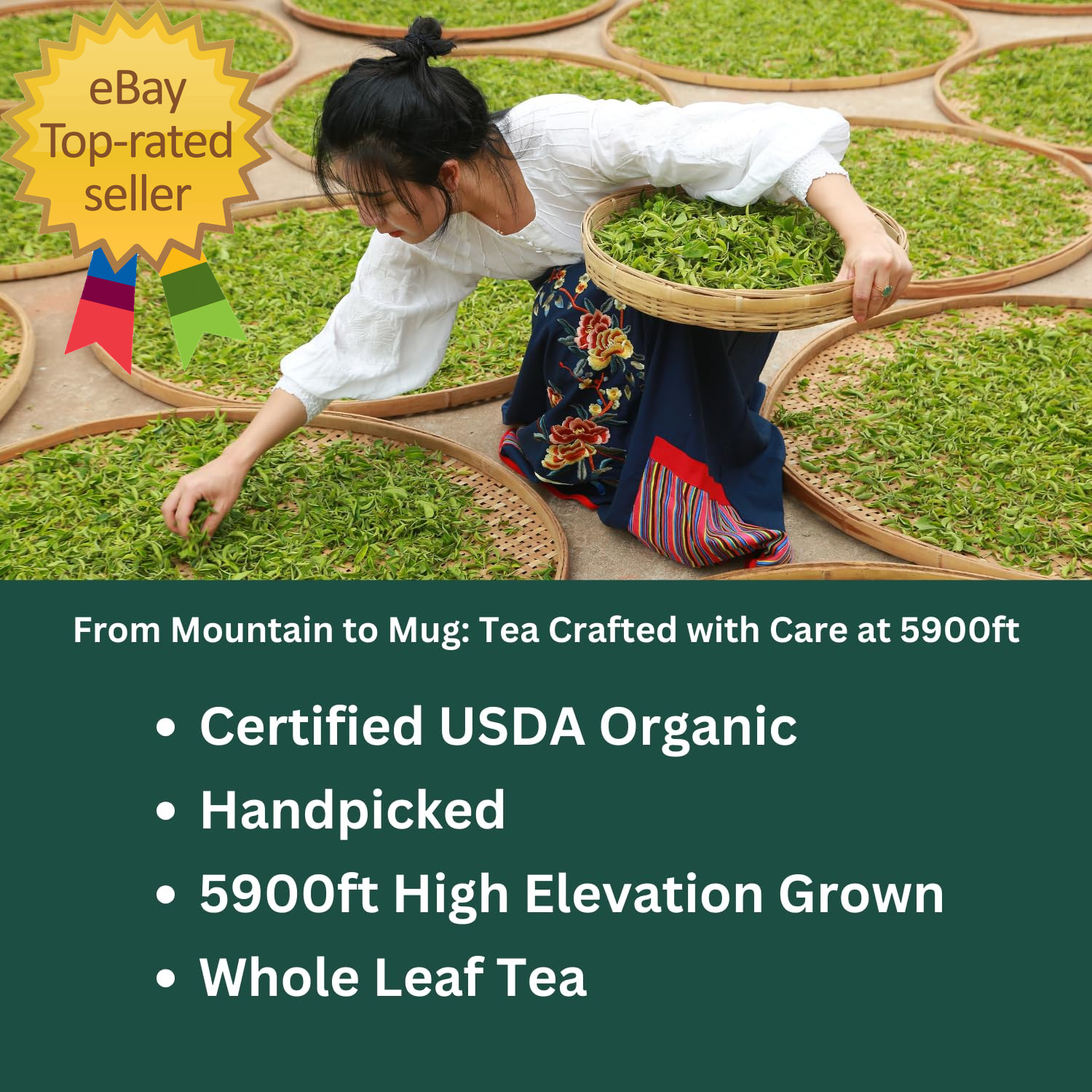 Organic Oolong Tea Bags – Whole Leaf 20 Bags (4G Each) – Cortisol & Calming