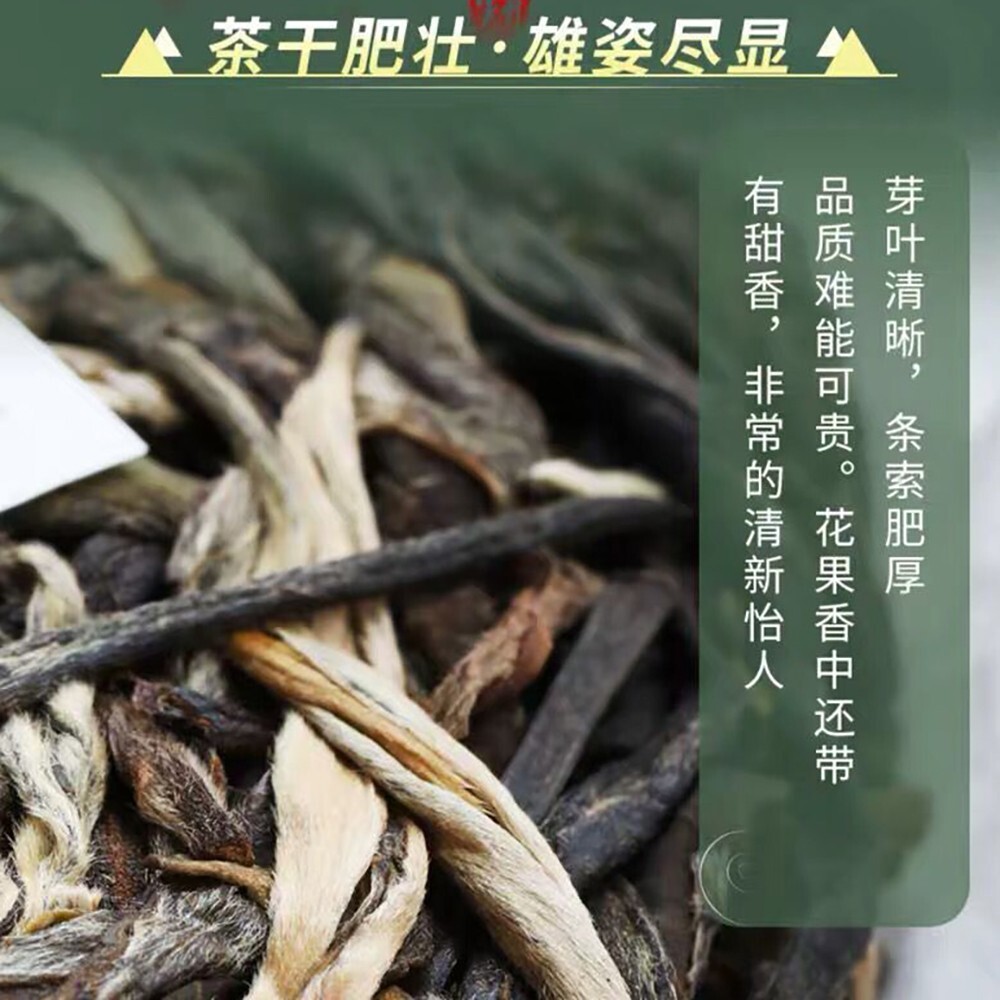Pu-Erh tea,2020,薄荷塘 Mint pond,357g,Raw