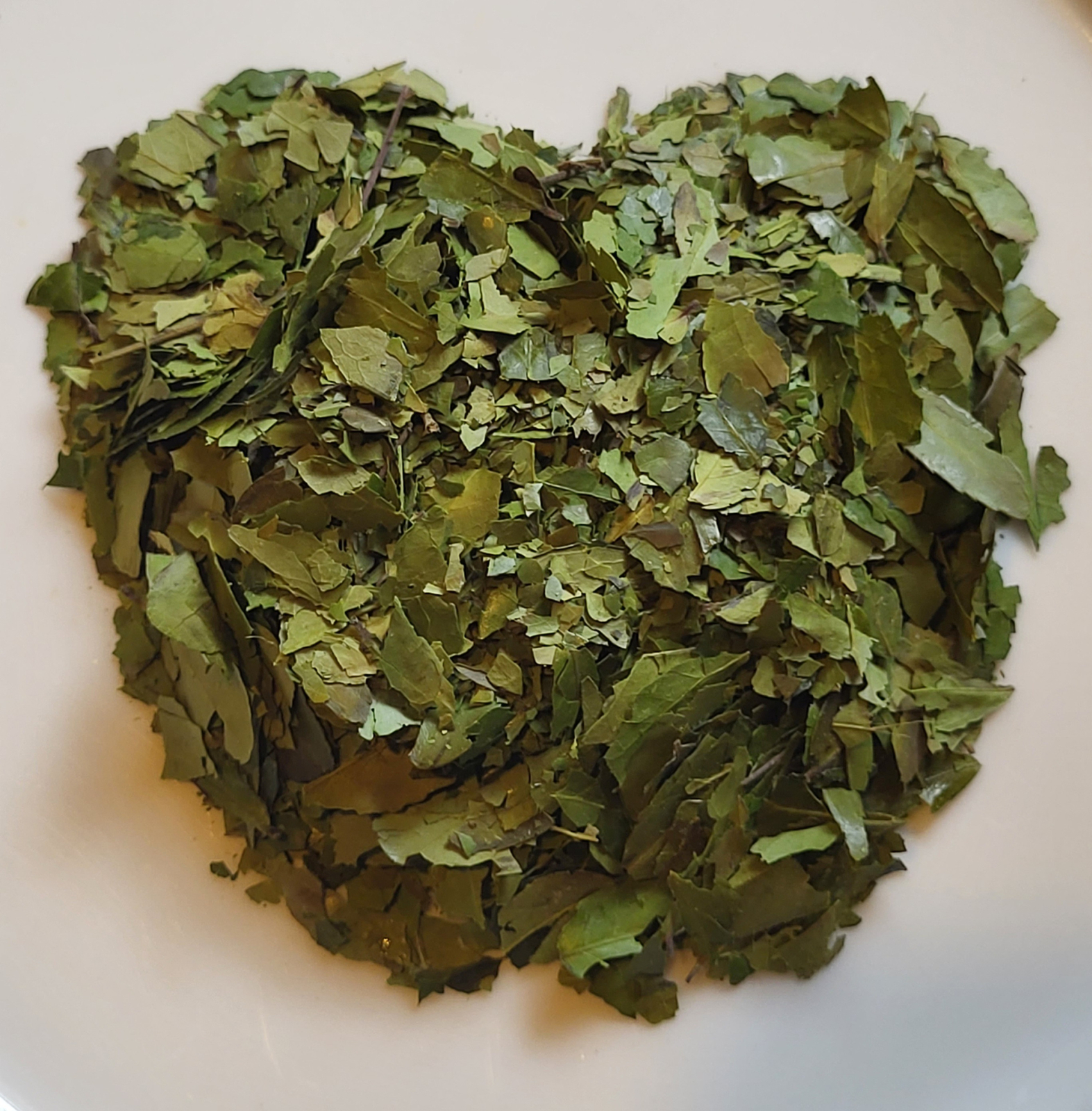 Yaupon Loose leaf