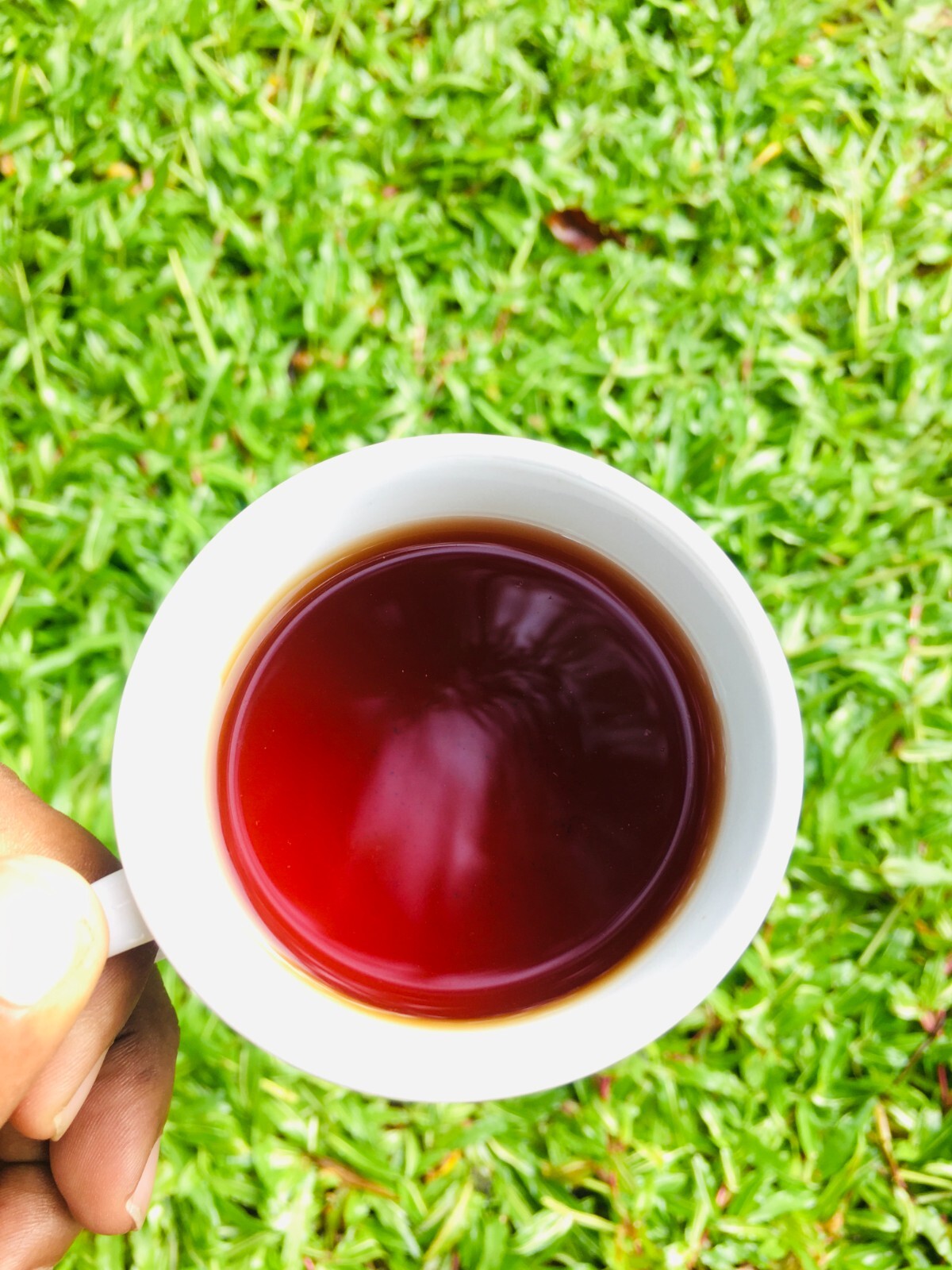 Broken Orange Pekoe Fannings (BOPF) Ceylon Organic Premium Loose Leaf Black Tea