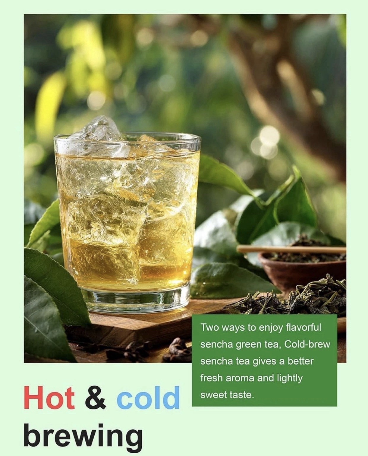 NEW Sencha Green Tea Bags – Refreshing 100 Count Caffeinated TeeLux Exp 12/2028