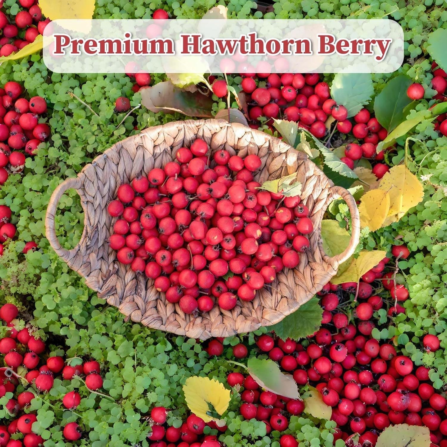 Hawthorn Berry Tea – 50 Teabags, Non-GMO, Caffeine-Free, Aids Digestion,