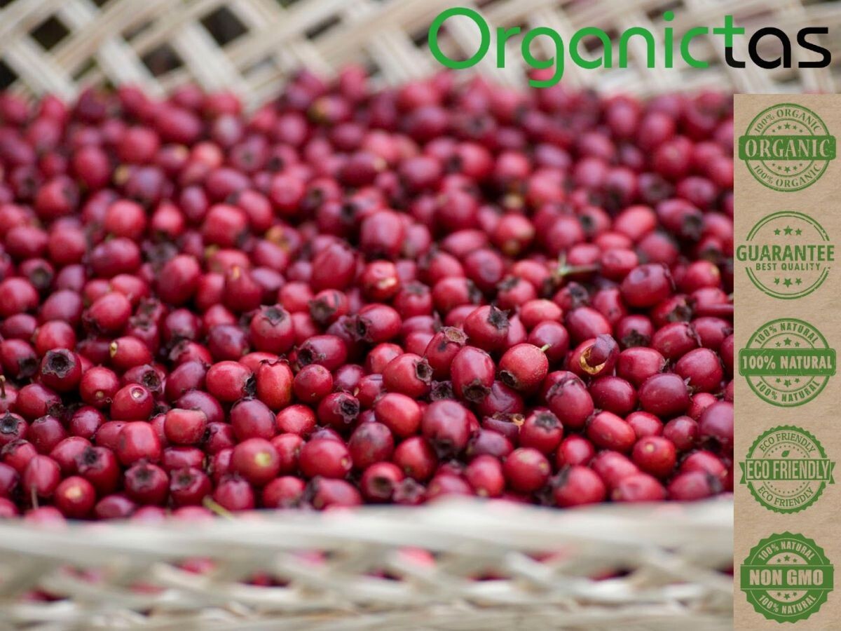 ROSEHIPS TEA Organic Rosehip Tea Best Premium Quality Dried Rose Hip 100g/3.56oz
