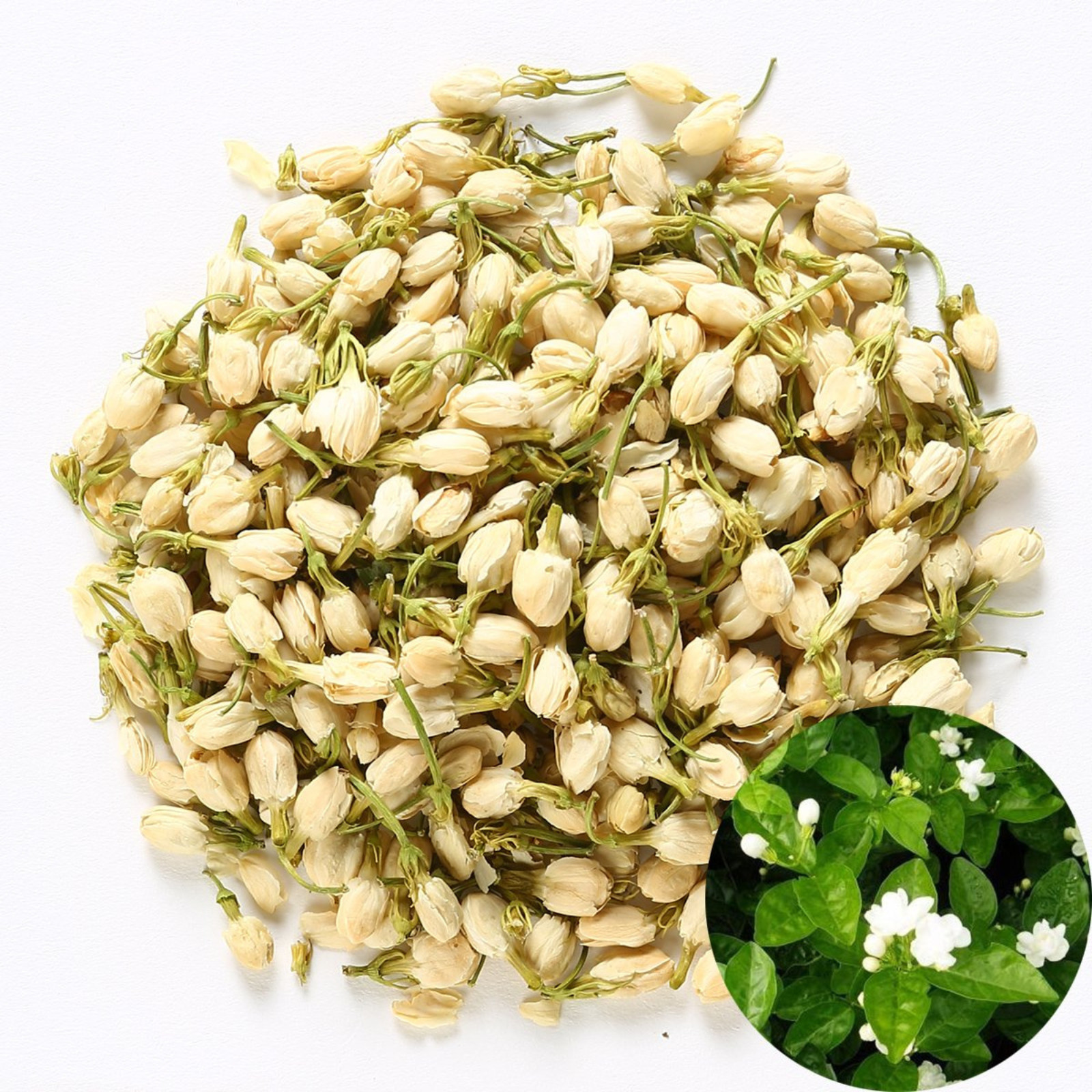Jasmine Flower Buds Dried | Organic Herbal Tea | Fragrant Natural | Aromatic