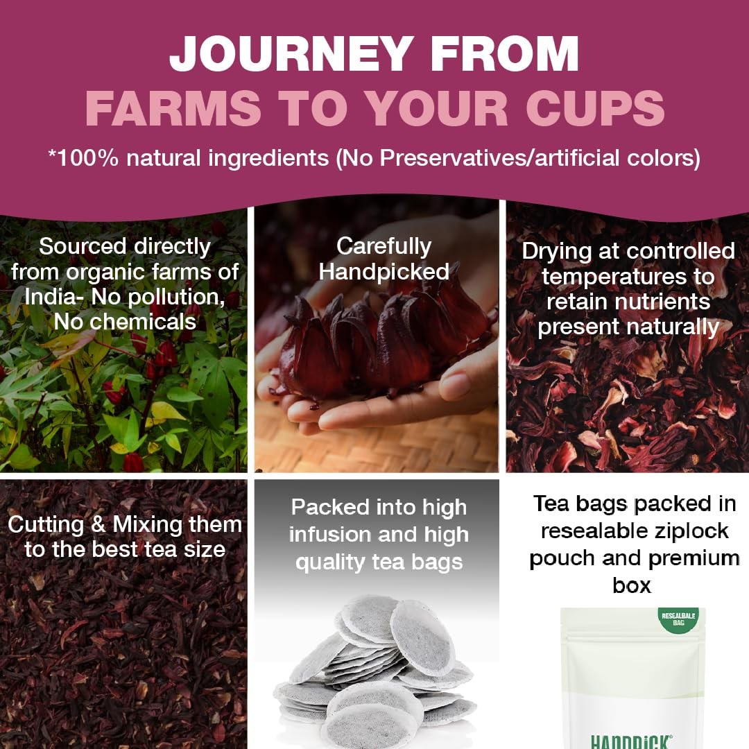 HANDPICK, Organic Hibiscus Tea Bags (100 Bags) | 100 Count (Pack of 1)