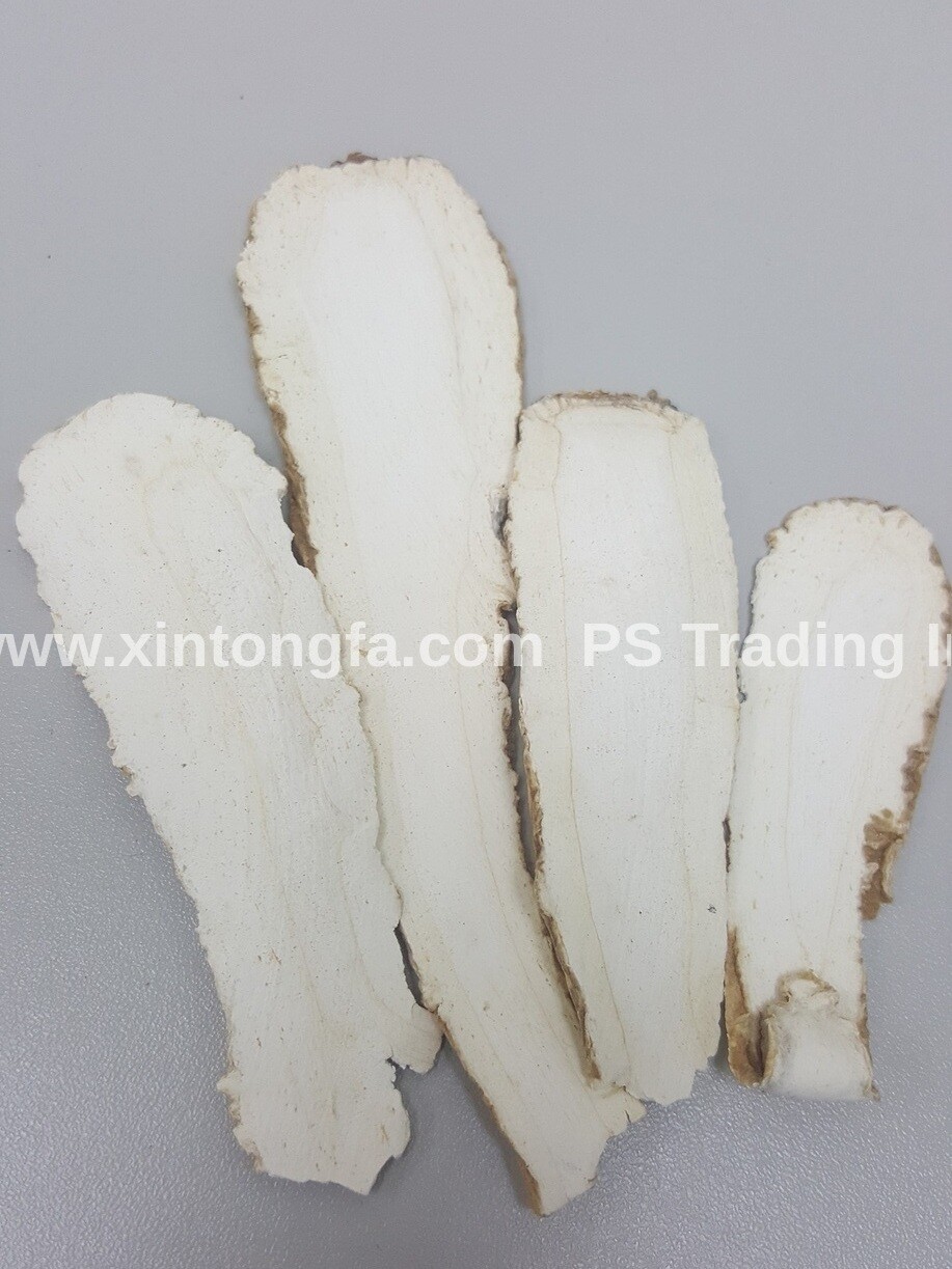 白芷 1LB / 454g – Bai Zhi / Dahurian Angelica Root – US Seller Free Shipping!