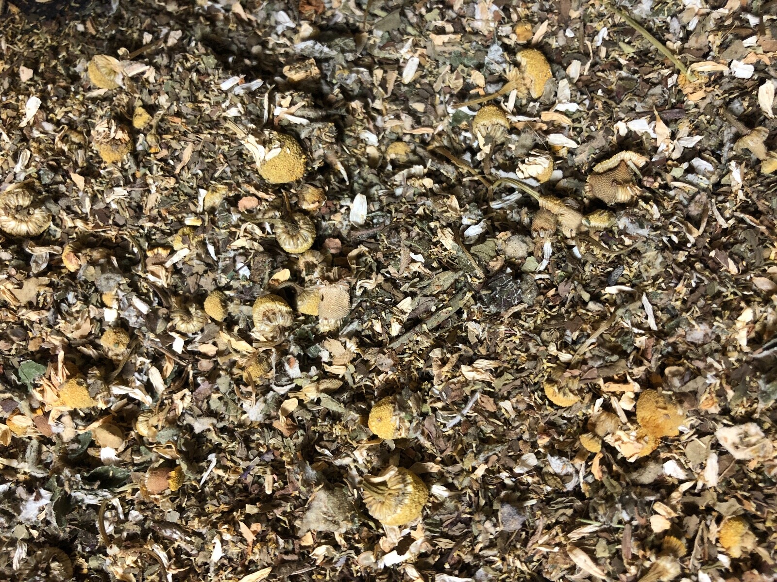 Lomatium Root Osha Marshmallow Mullein – No.29 Herb Mix Chamomile Raspberry Mint