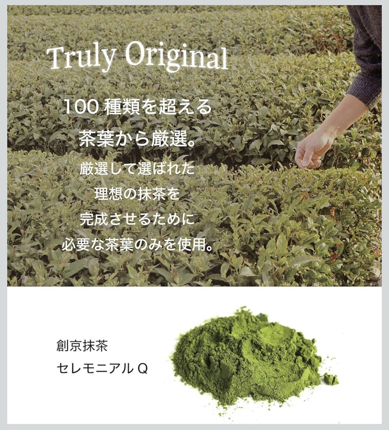 Sokyo Matcha Rich Ceremonial Tea Ceremony Latte (1.05 oz (30 g)