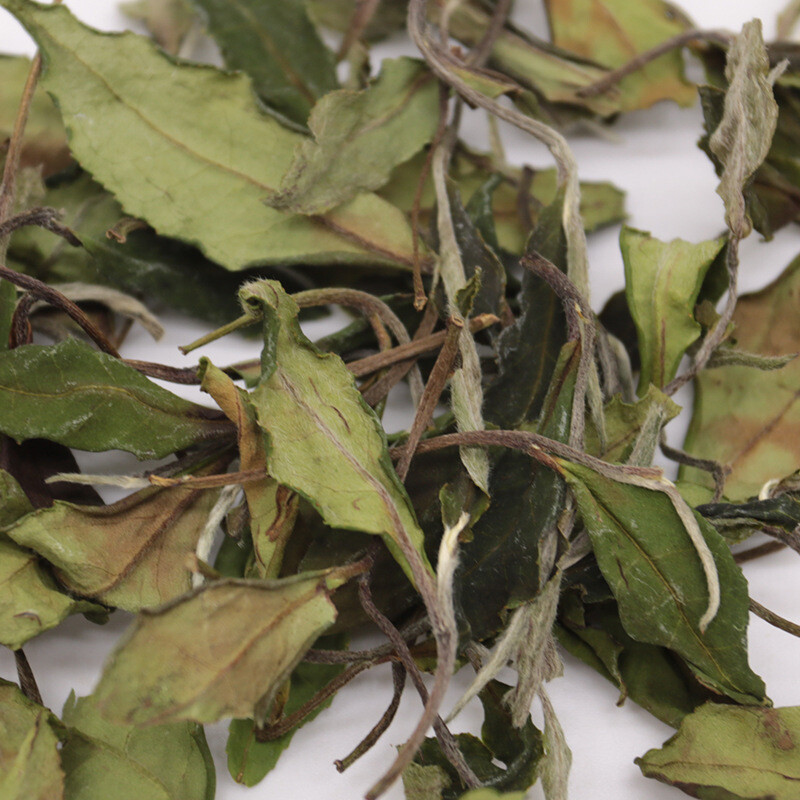White Tea Fuding High Mountain Loose Leaf Natural Flower Fragrant 500g