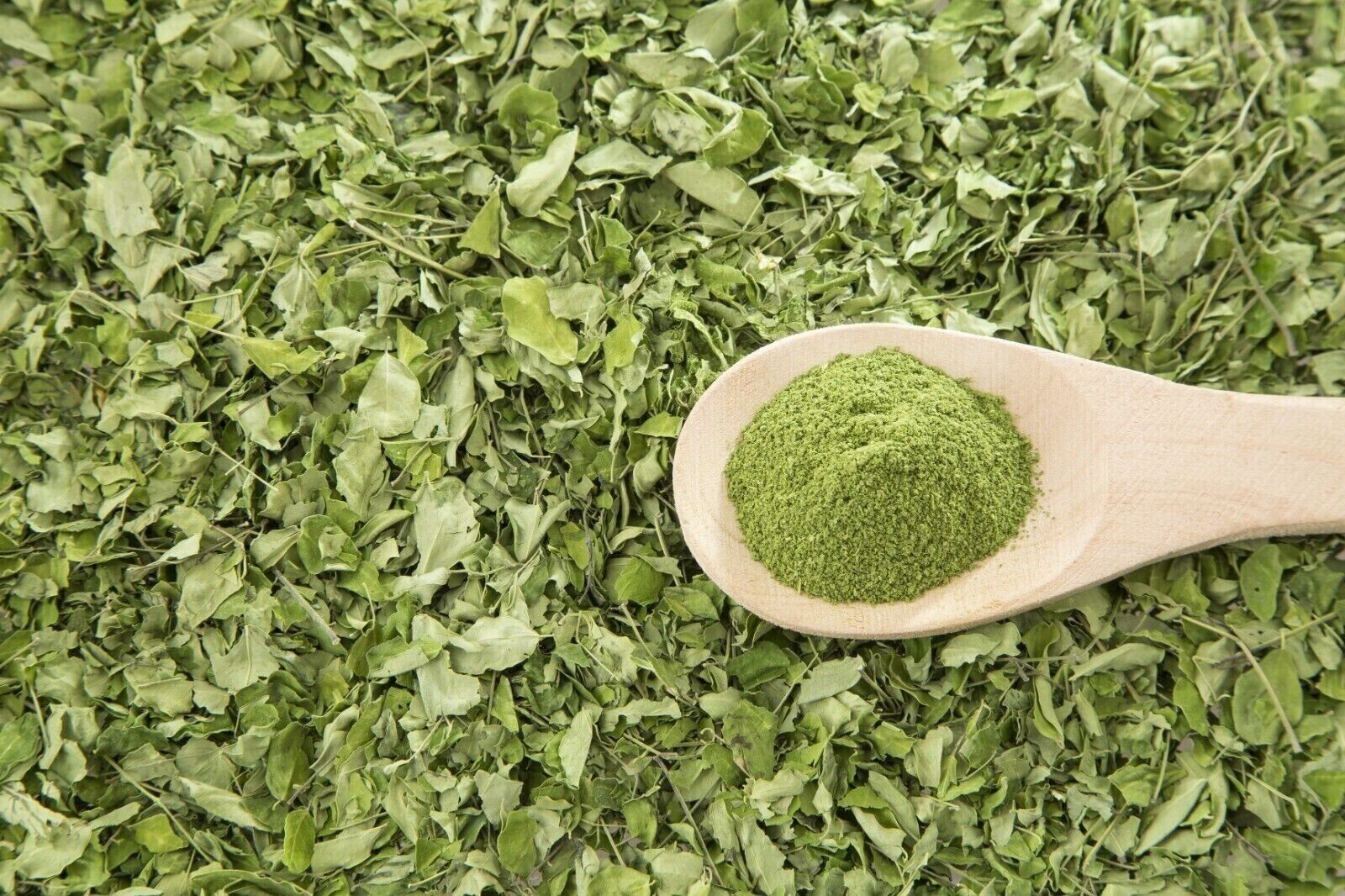 Moringa Powder 8oz. Hoja Polvo de Moringa oleifera Leaf Pure Natural Superfood