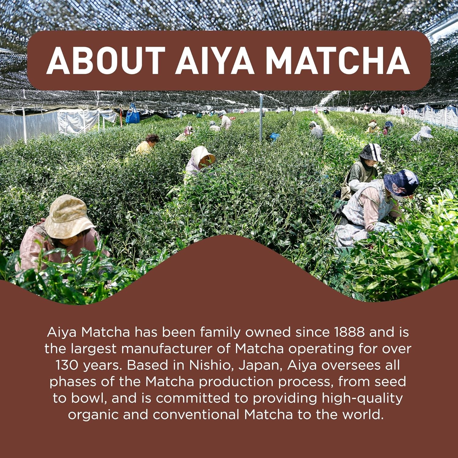 Aiya Japanese Sweetened Roasted Matcha To Go Sticks – Hojicha- 8 Count