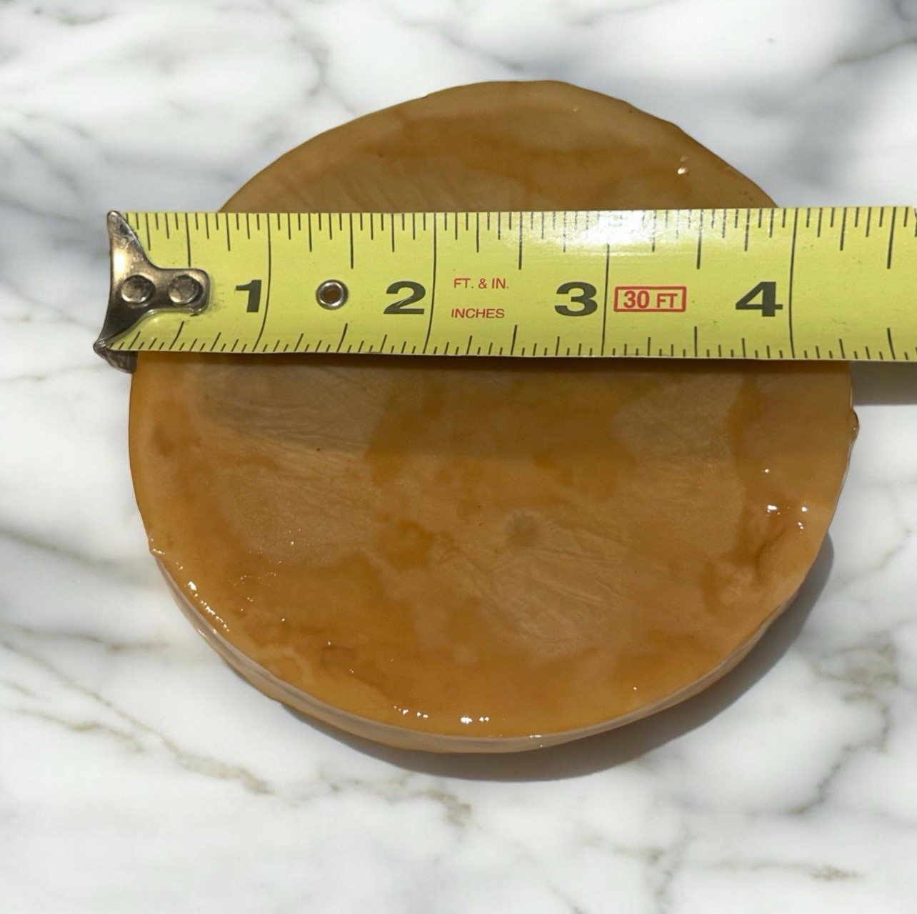 Kombucha SCOBY Starter Culture | Live Probiotic Fermentation | Tea | Kefier