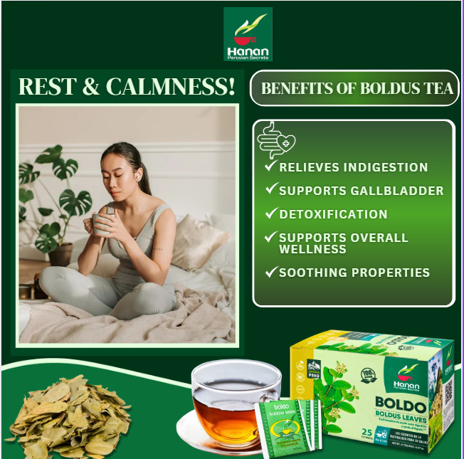 Boldo Herbal Tea (Boldus Leaves) – 25 Teabags
