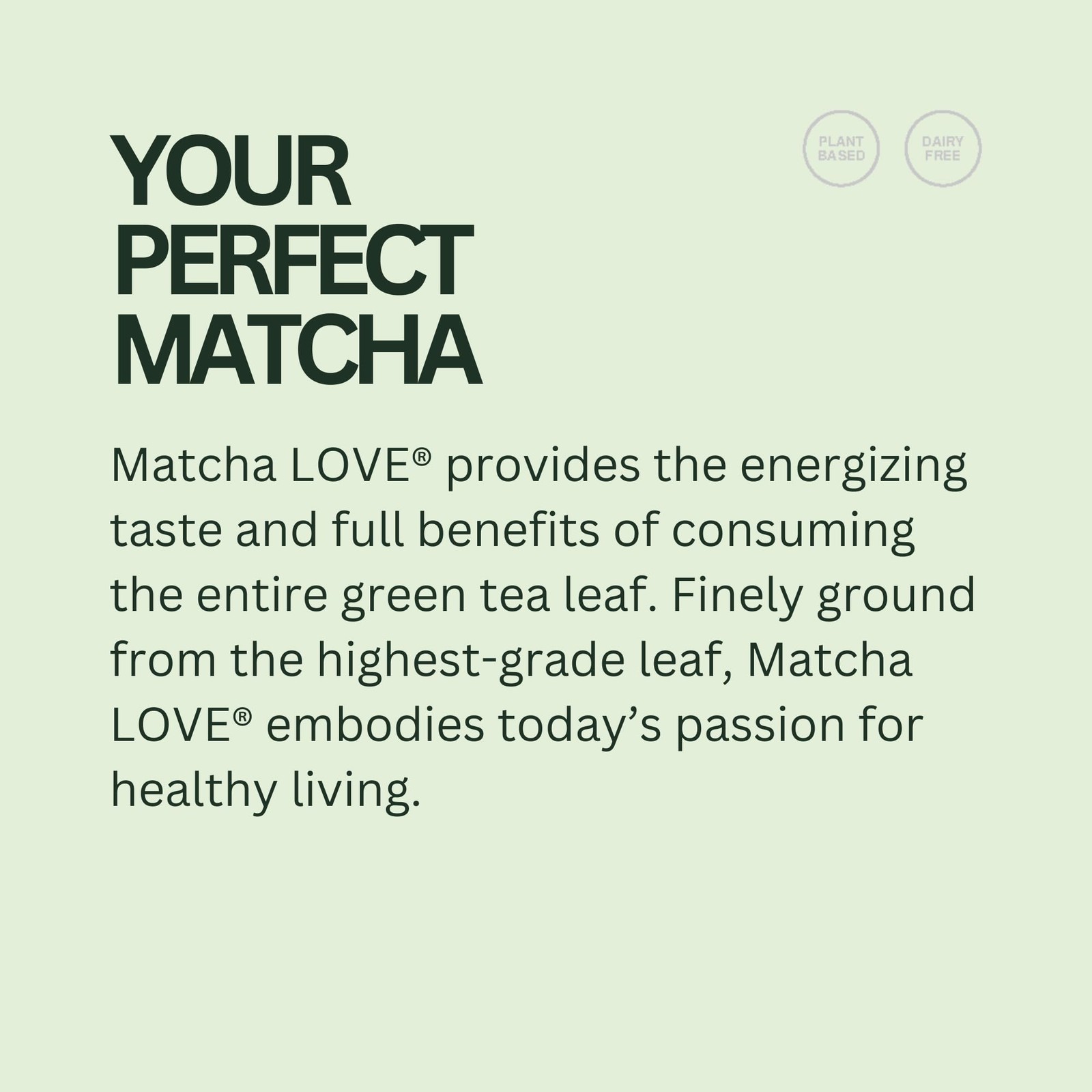 matcha LOVE Matcha + Green Tea, Unsweetened, 8 Ounce Pack of 12