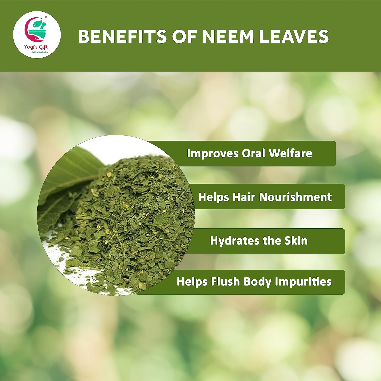 Neem Leaf 1 LB | 100% Natural Tea | Neem Leaves Cut and Sifted | Azadirachta …