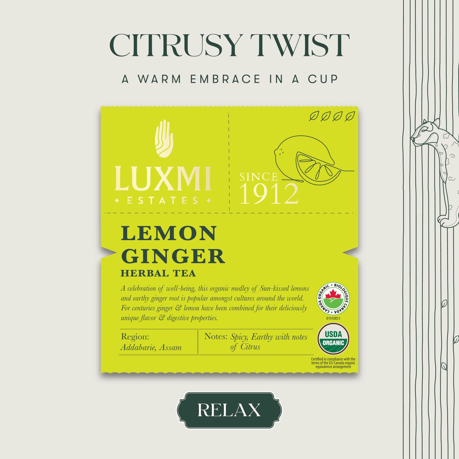 Estates Lemon Ginger Root | Certified Organic Herbal Tea | Citrus Flavor & Ar…
