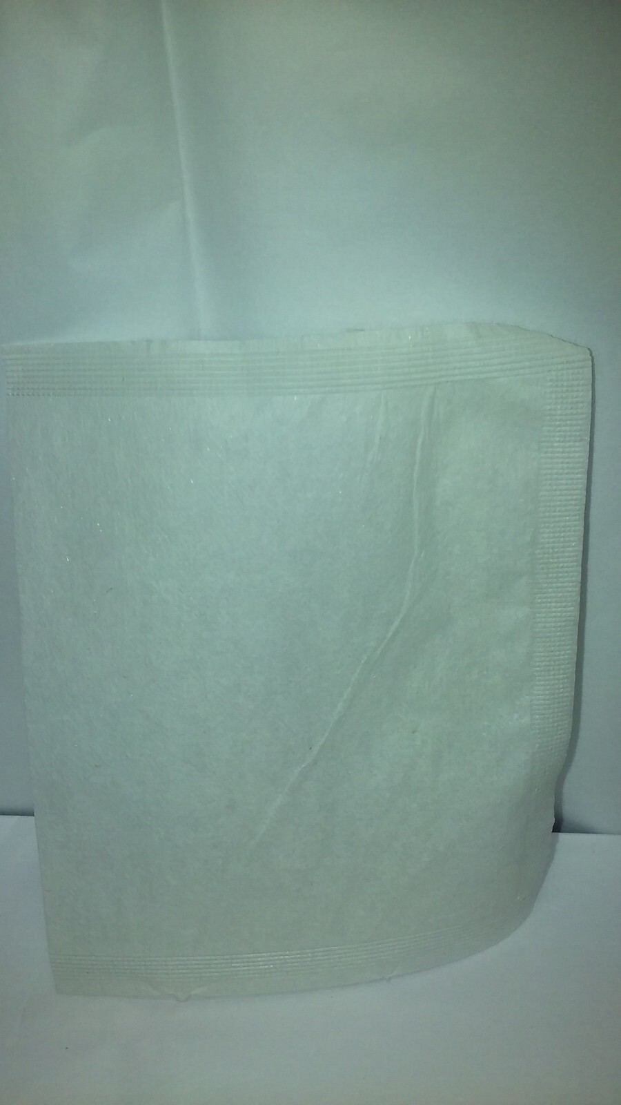 50 empty press N brew paper tea bags 5 inches x 3.75 inches large