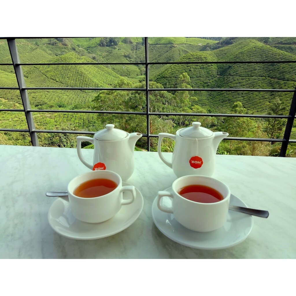 NEW BOH Cameron Highlands Tea leaf 500g X 4 FREE DHL SHIPPING