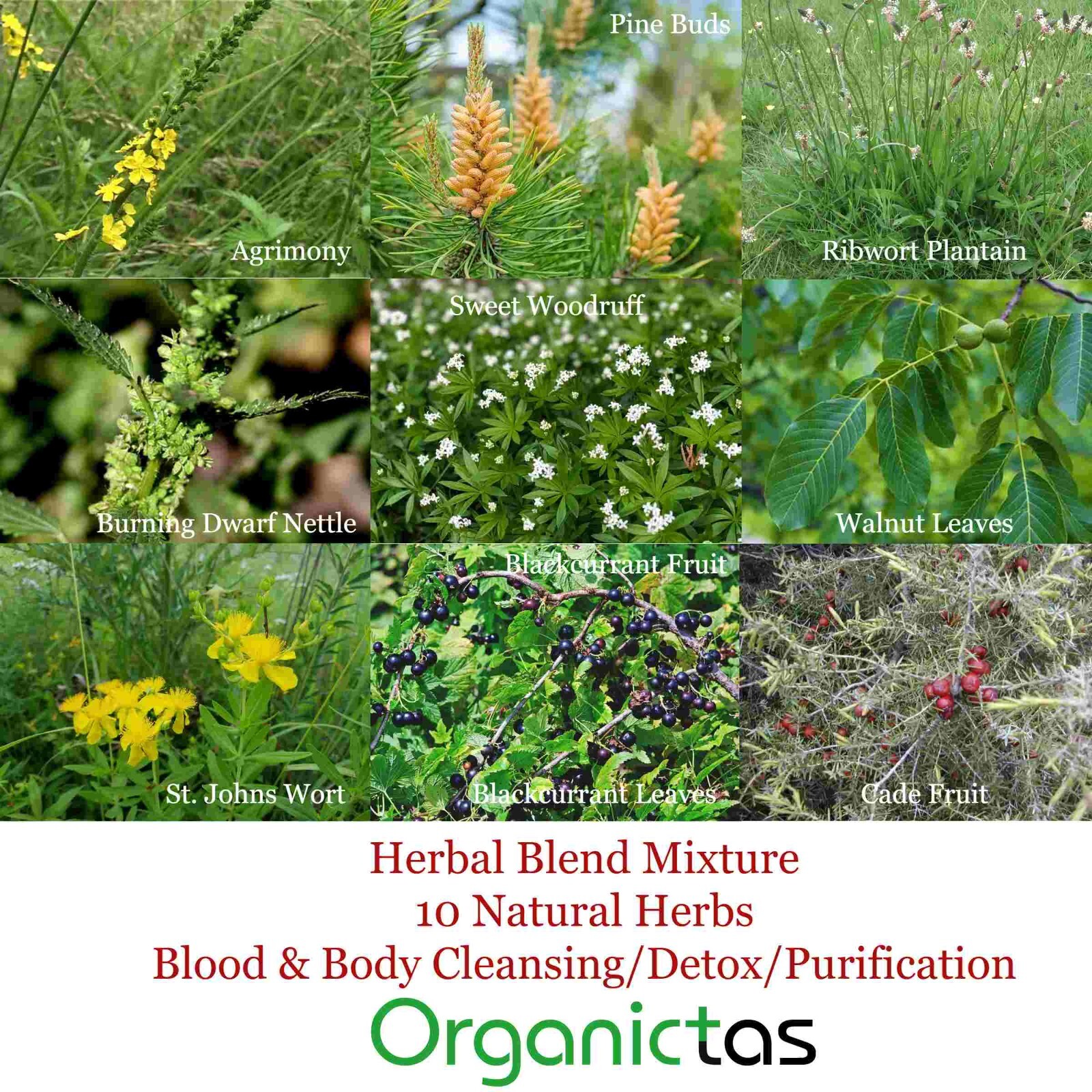 Organic Tea Blend with 10 Herbs for Body & Blood Detox, Cleanse and Purifying