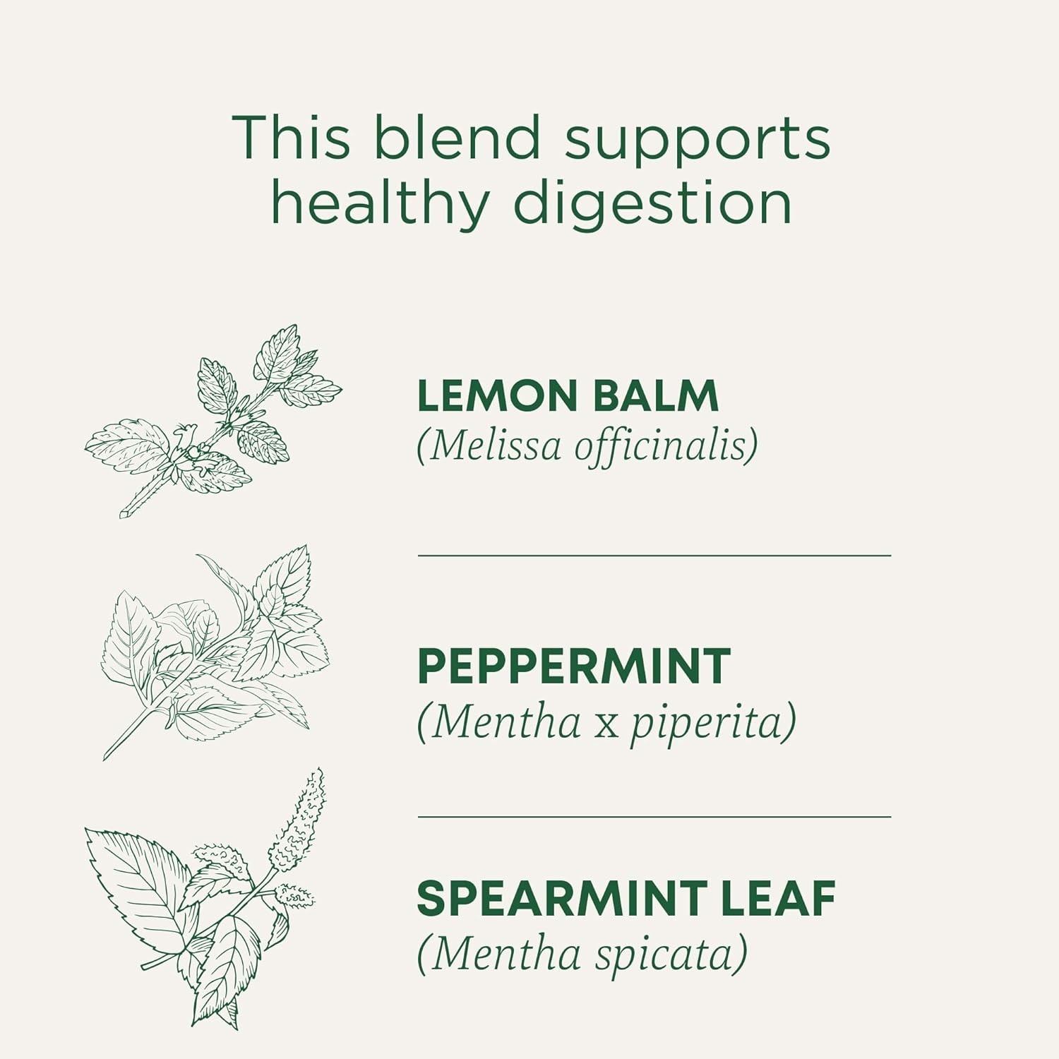 Naturally Delicious Organic Triple Mint Tea – Digestive Aid, 16 Compostable Bags