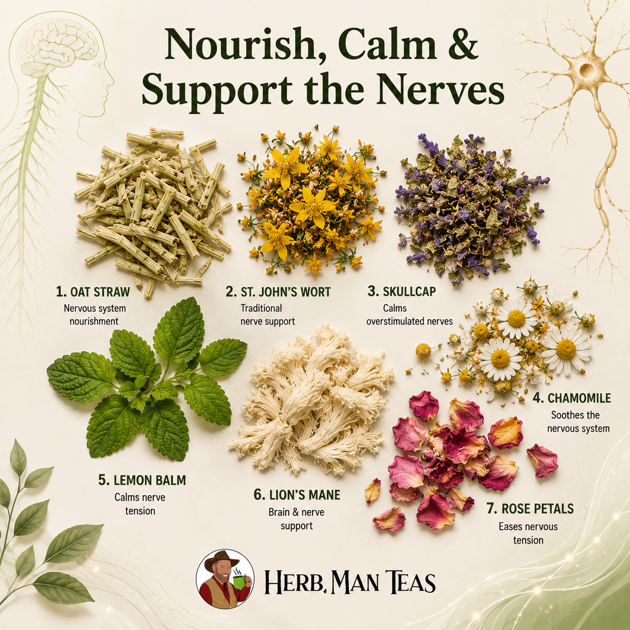 Nerve Repair Tea – to restore damaged nerves