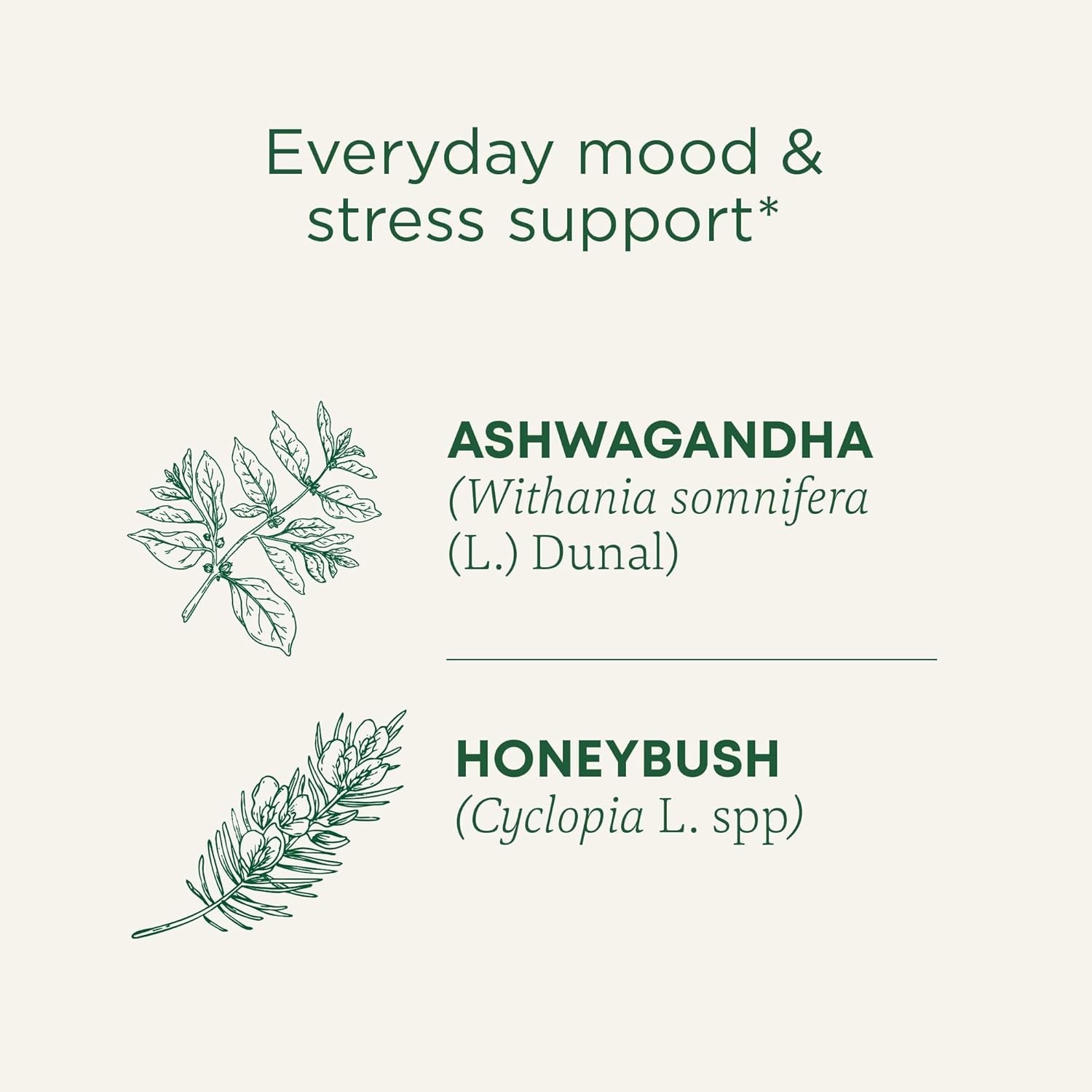 Caffeine-Free Organic Stress Relief Tea – 16 Bags of Ashwagandha & Honeybush