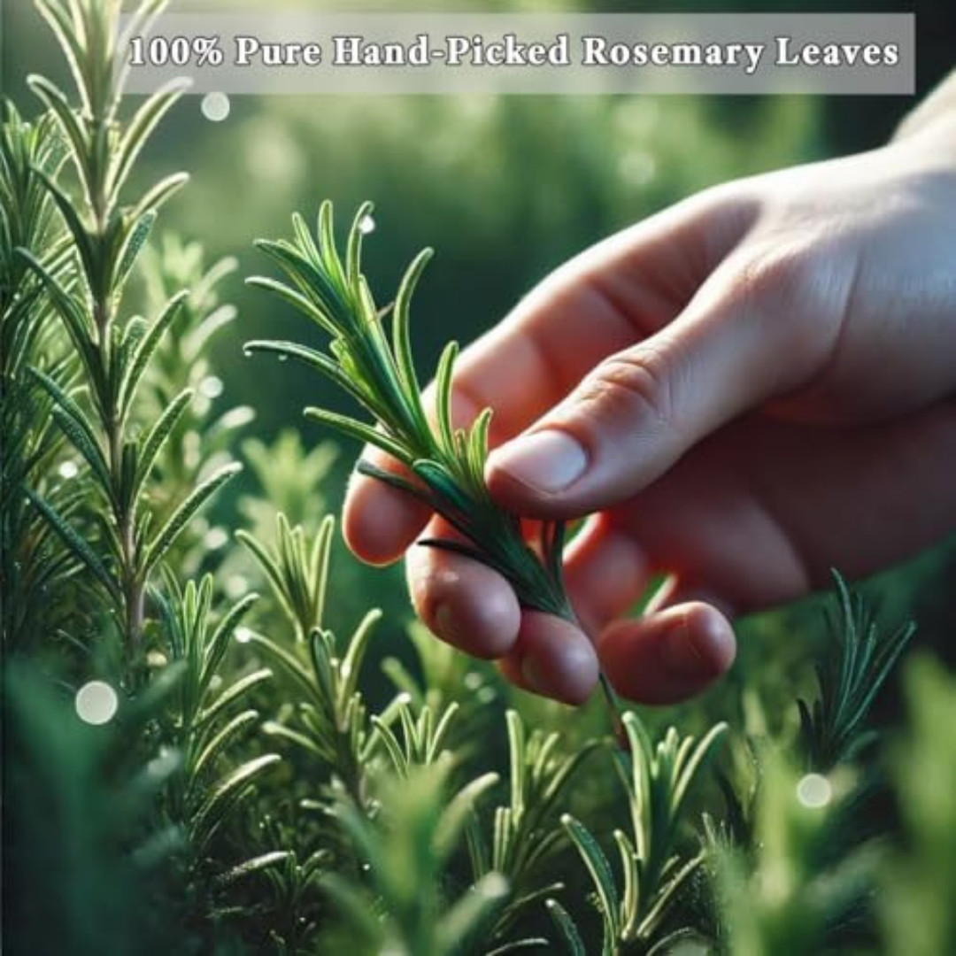 ULTHMOK Rosemary Tea Bags 100 Count Pure Natural Caffeine Free Herbal Tea