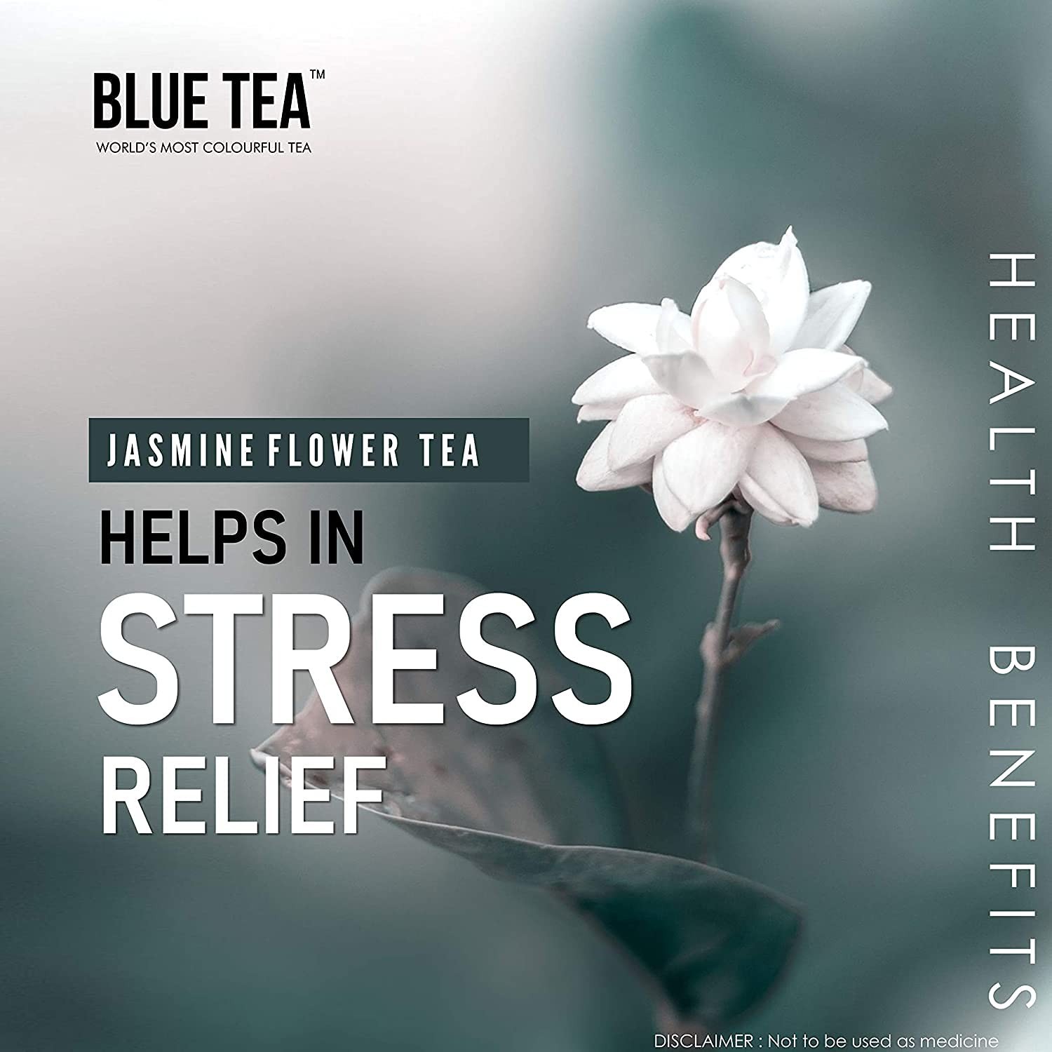 BLUE TEA – Jasmine Flower Herbal Tea, 1 Oz 30 Cups, 100% Natural | FREESHIP