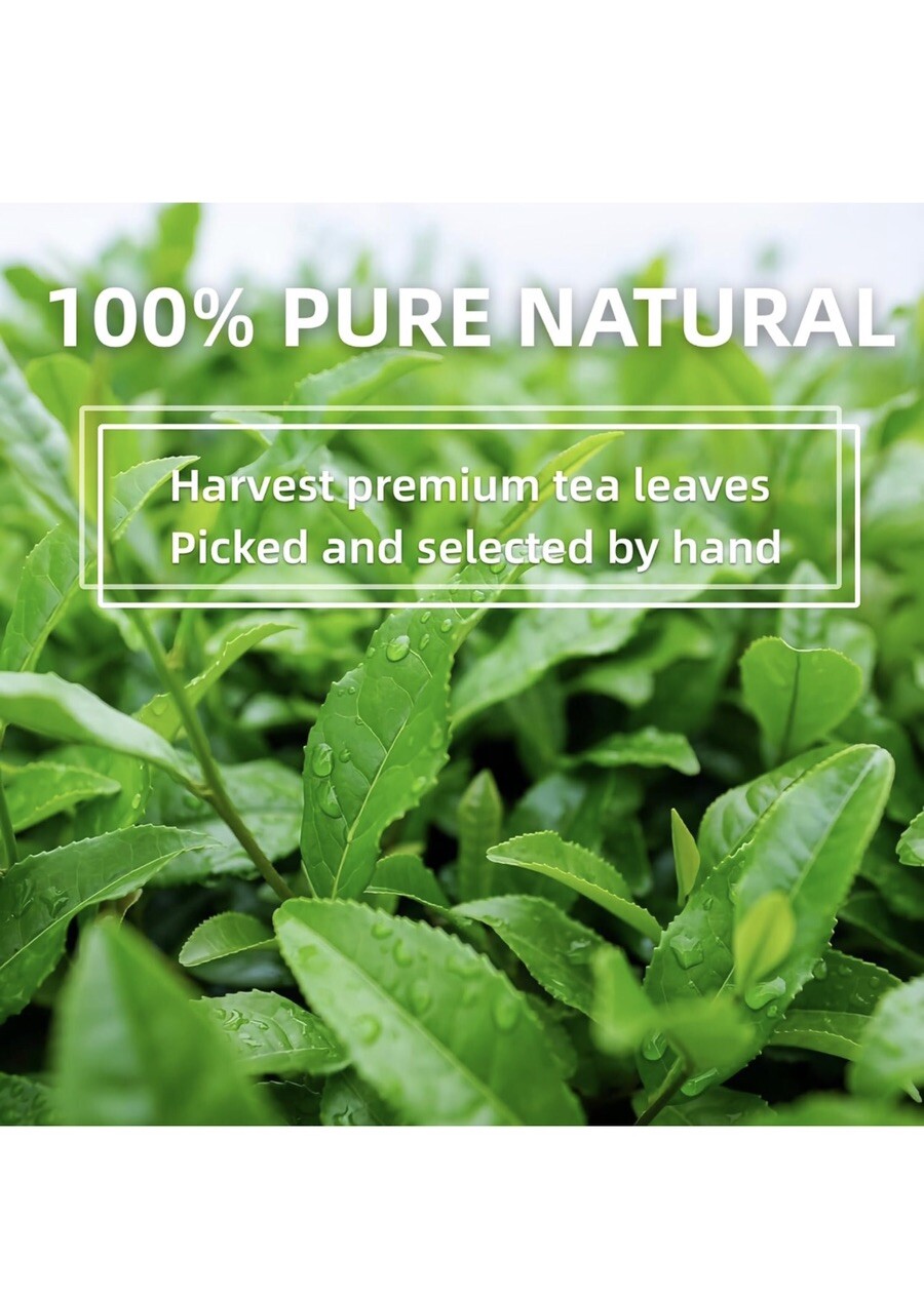 Teatree/Matcha/Organic Green Tea Powder / Premium Culinary Grade/ 3.53 Oz (100g)