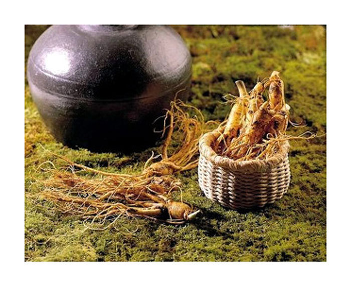 Korean Ginseng Extract Granule Tea / Health Food / KOREAN MADE (3g X 100bags)