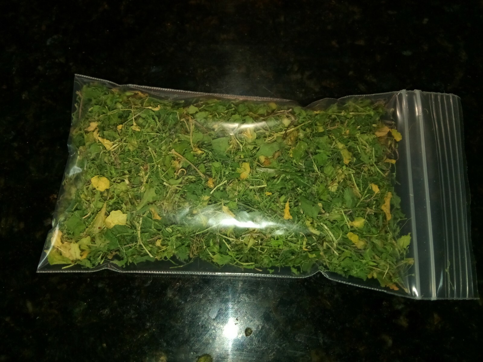1 Cup Dried Common Chickweed For Tea or Salva.US grown.