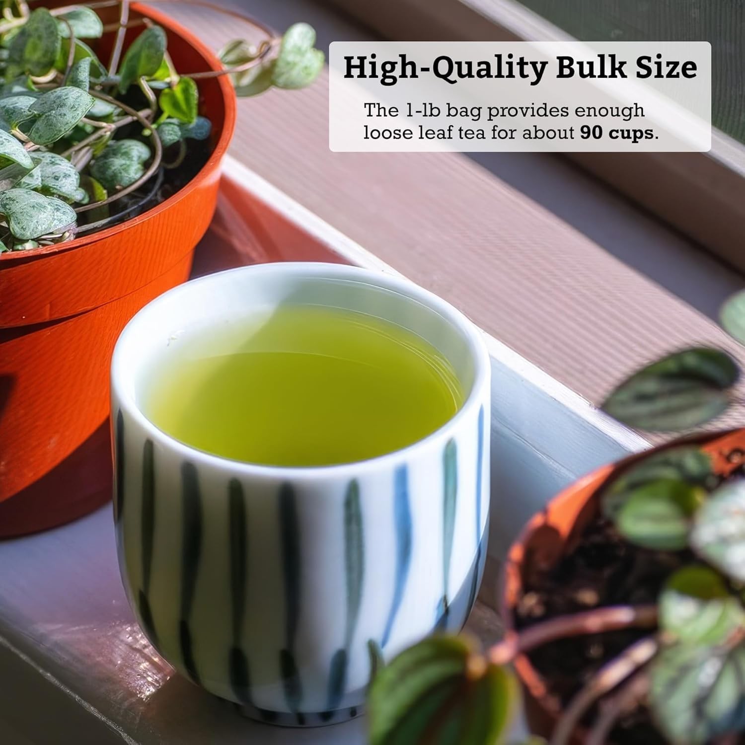 Japanese Sencha Fukamushi Green Tea Loose Leaf Bulk 1.0 lb (454 g)