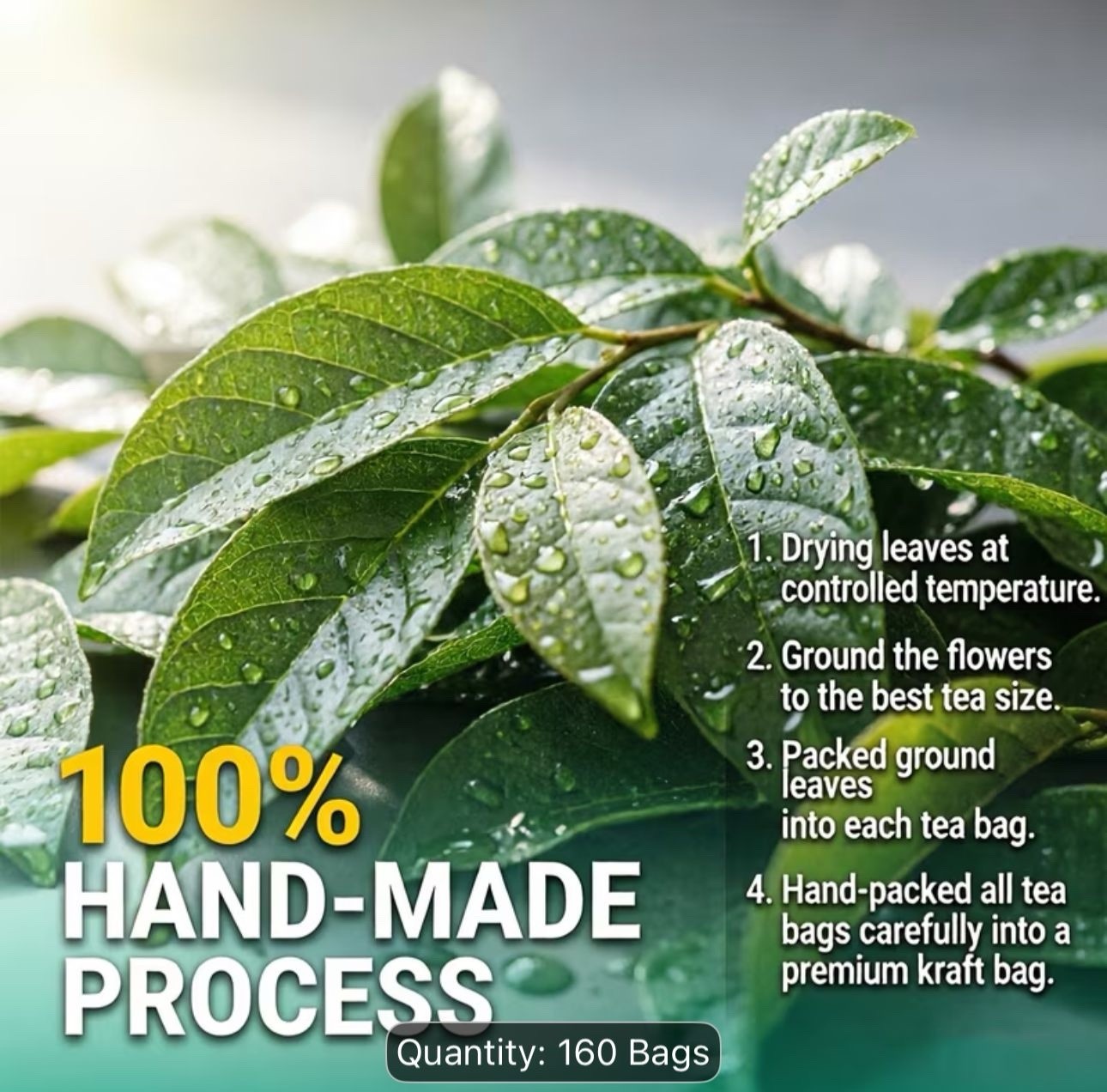 Soursop Leaf Tea Bags Herbal Hand-Made 160 Bags 160g