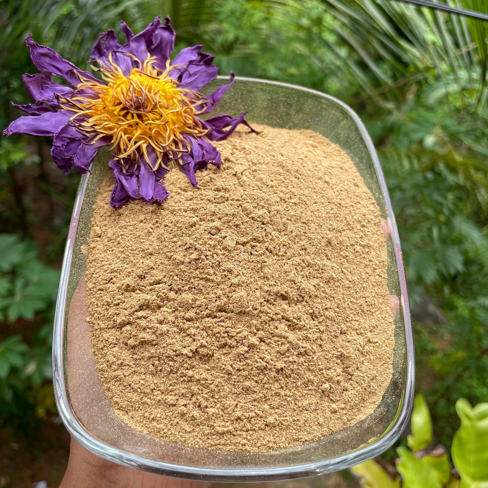Blue Lotus nymphaea caerulea Flowers Powder 100% Organic Natural Pure Herbal Tea