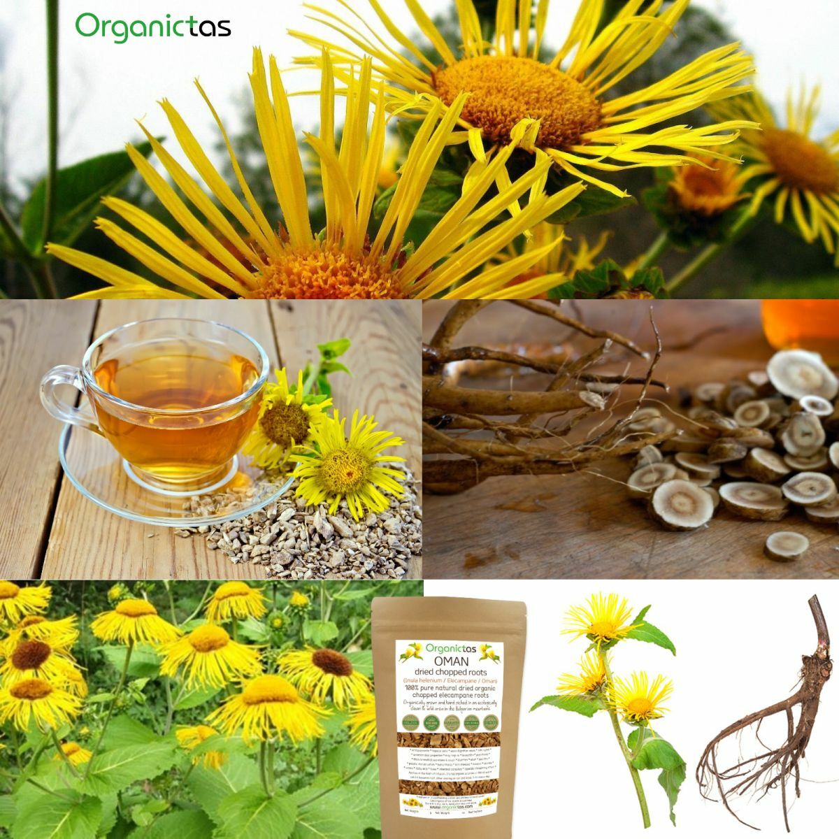 ELECAMPANE ROOT organic Herbal Tea Premium Quality Loose Cut Inula Helenium