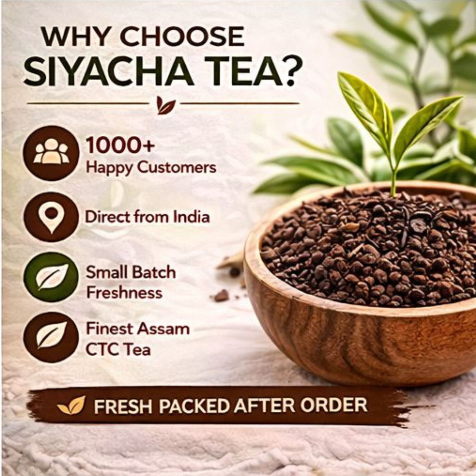 Assam CTC First Flush Tea 2026 Fresh Hajua PF Loose Leaf Blend