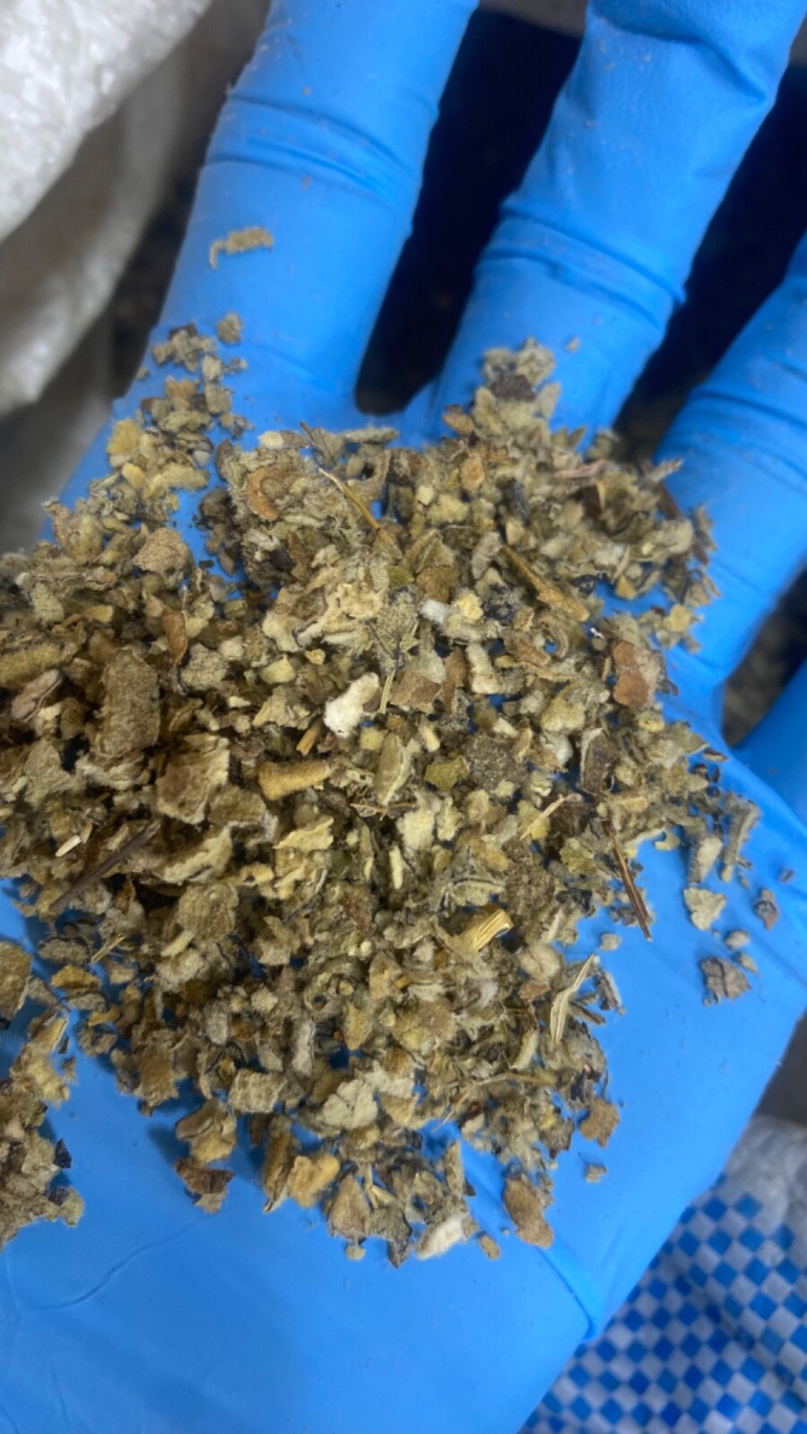 Mullein Leaf Herb – organic medicinal healing lung cut botanical – 3/4 LB Pound