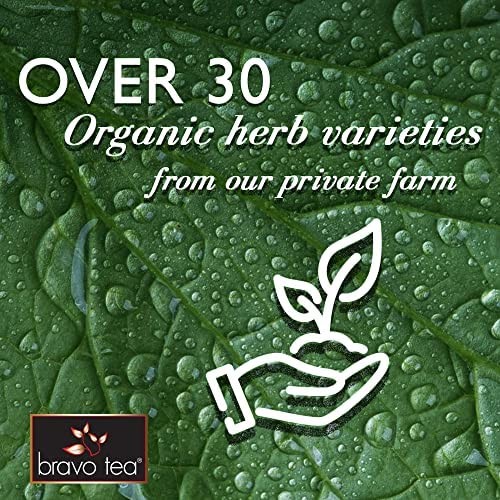 6 Mushroom Defense Herbal Tea, Caffeine Free 20 Tea Bags, 1 Count