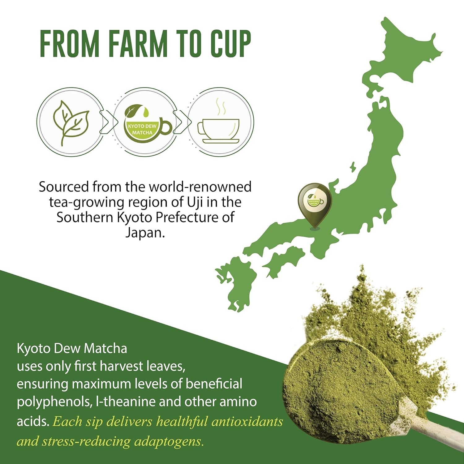 Ceremonial Blend – Authentic Japanese First Harvest – USDA & JAS Organic Cere…
