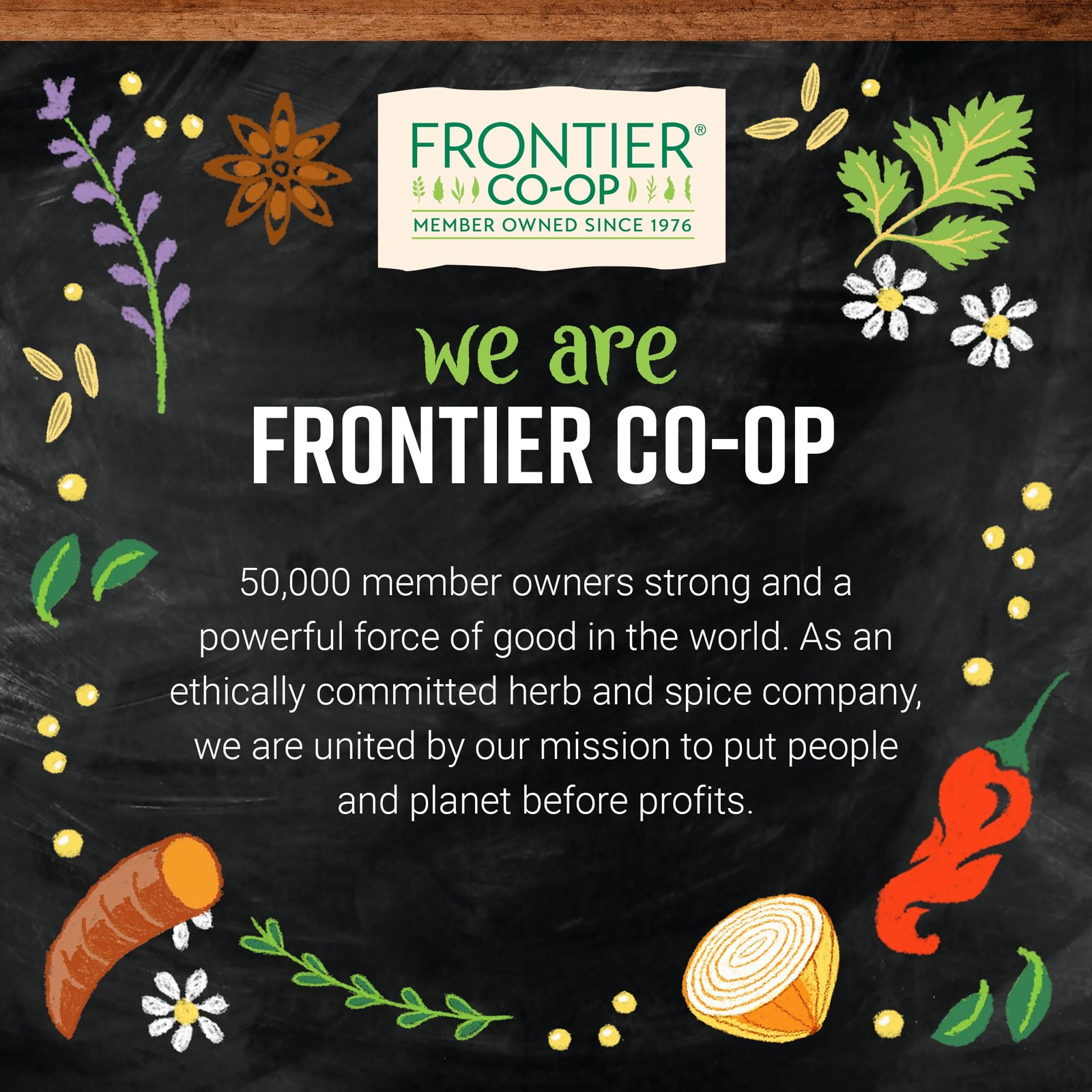 Frontier Co op Organic Jasmine Pearls Green Tea 16 Ounce Bulk Pack