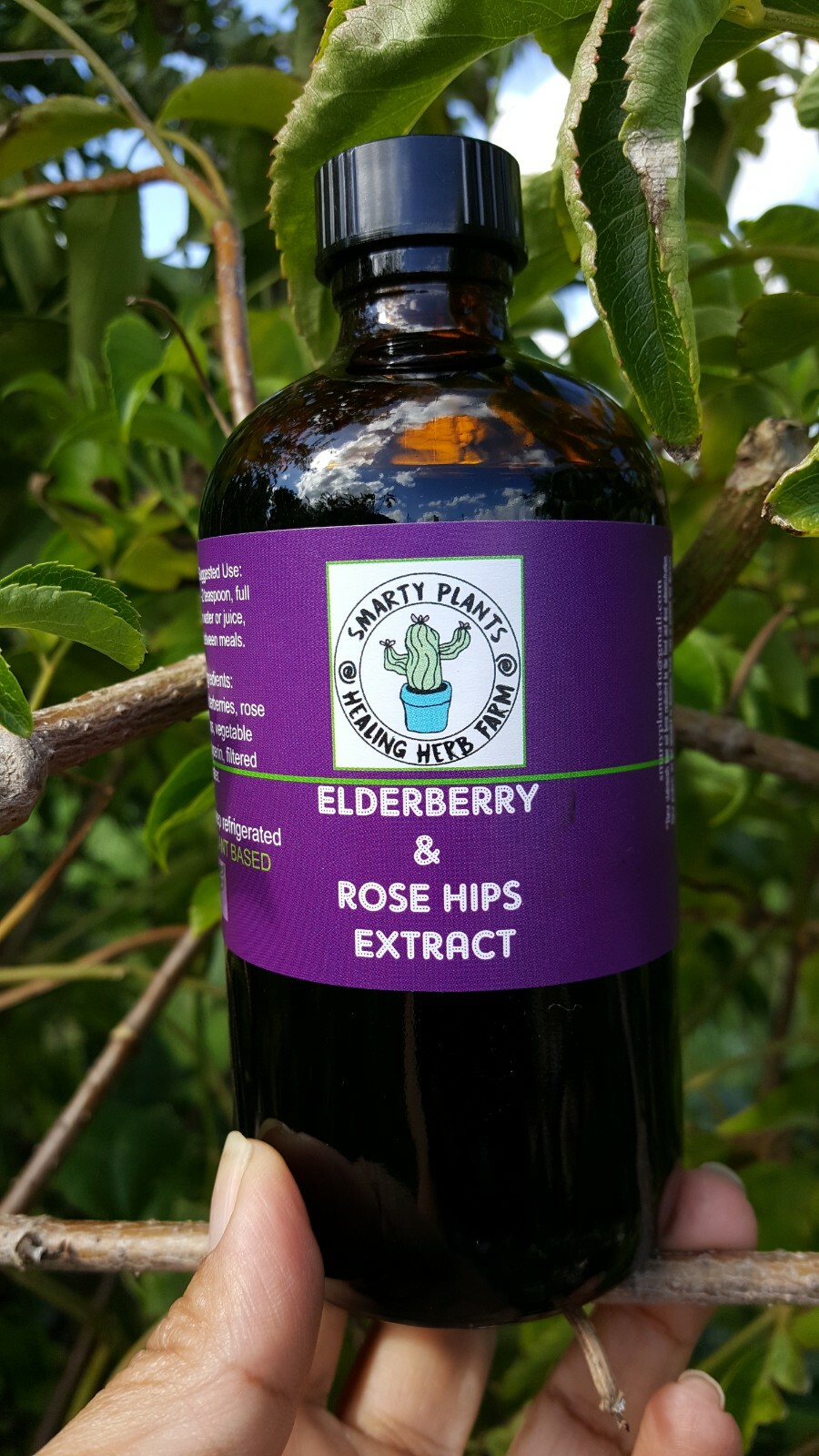 Organic Elderberry & Rosehip 8 oz. amber glass bottle Extract Tincture