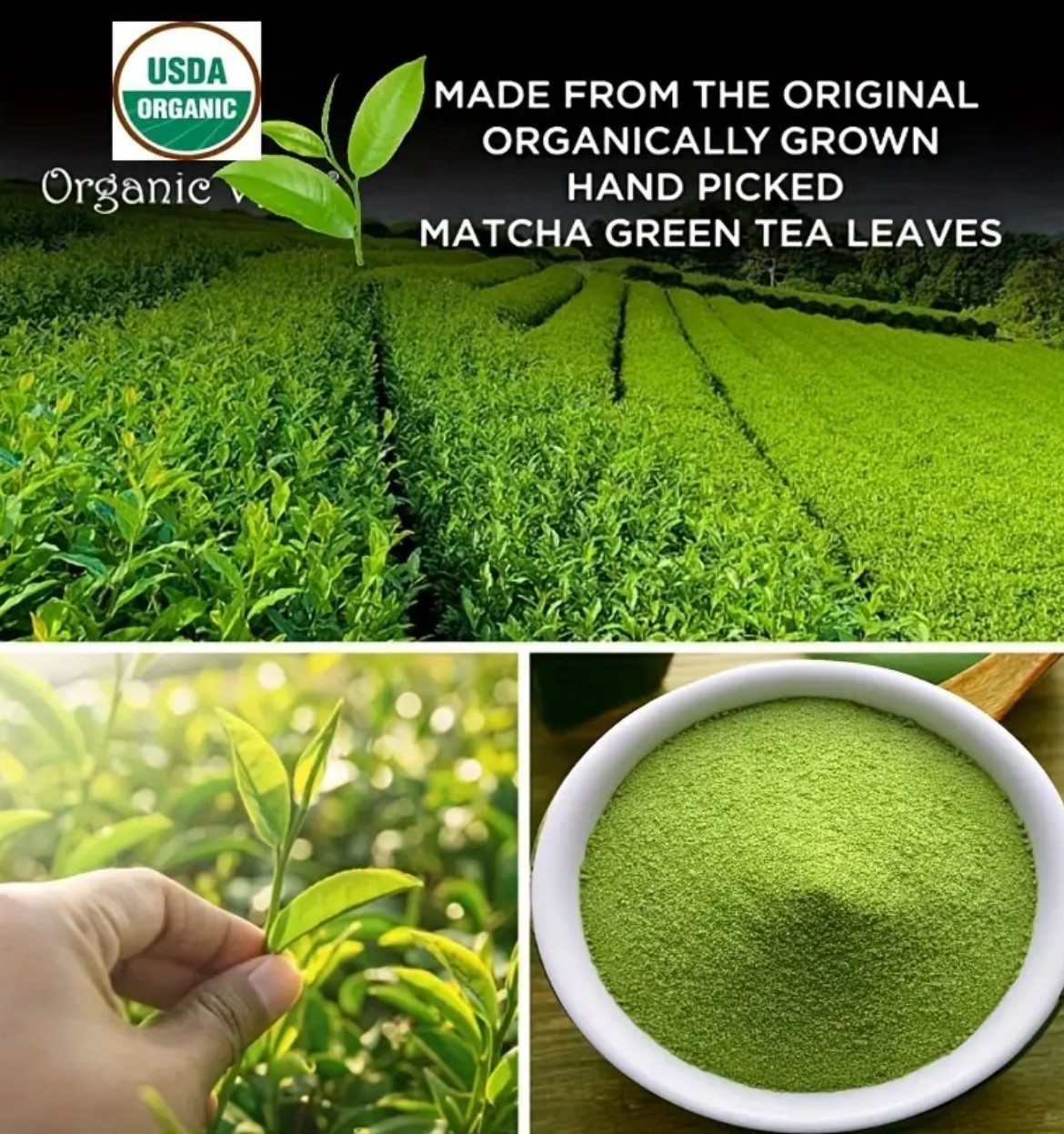 VBSWAP Organic Matcha Green Tea Powder 100g 3.5oz Pure Culinary Grade Latte Keto