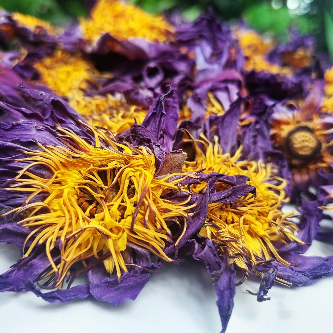 Organic Blue Lotus (Nymphaea Caerulea) Herbal Tea, 100 g – Hand‑Picked, Natural