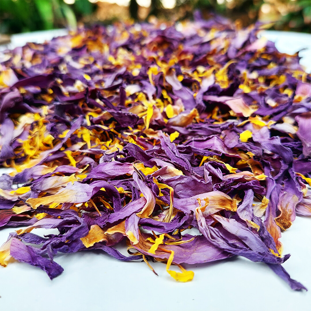 Blue Lotus Cut Flower Nymphaea Caerulea Organic Natural Herbal Tea From Ceylon
