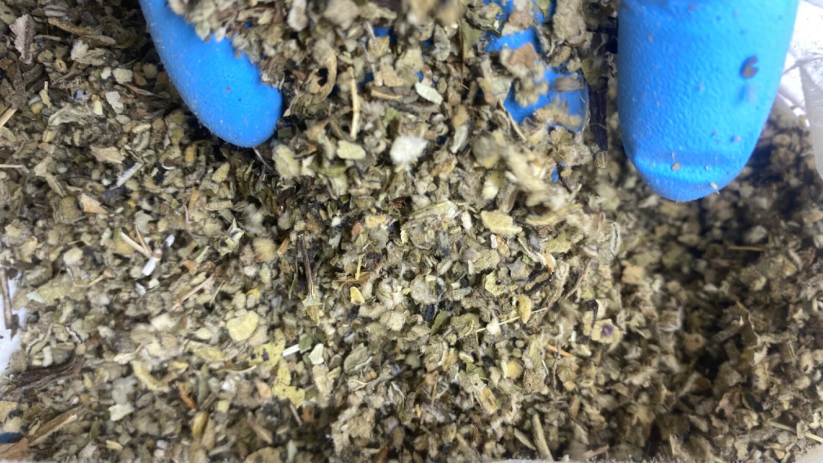 lobelia coltsfoot peppermint mullein organic wild crafted herb mix – 1 2 4 oz