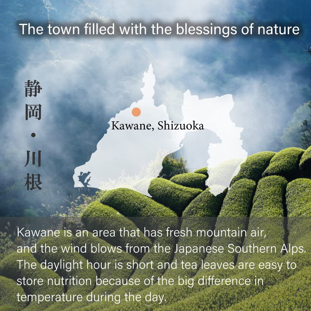 Shizuoka Sencha Green Tea -Loose Leaf -From Kawane Shizuoka JAPAN | Japanese Tea