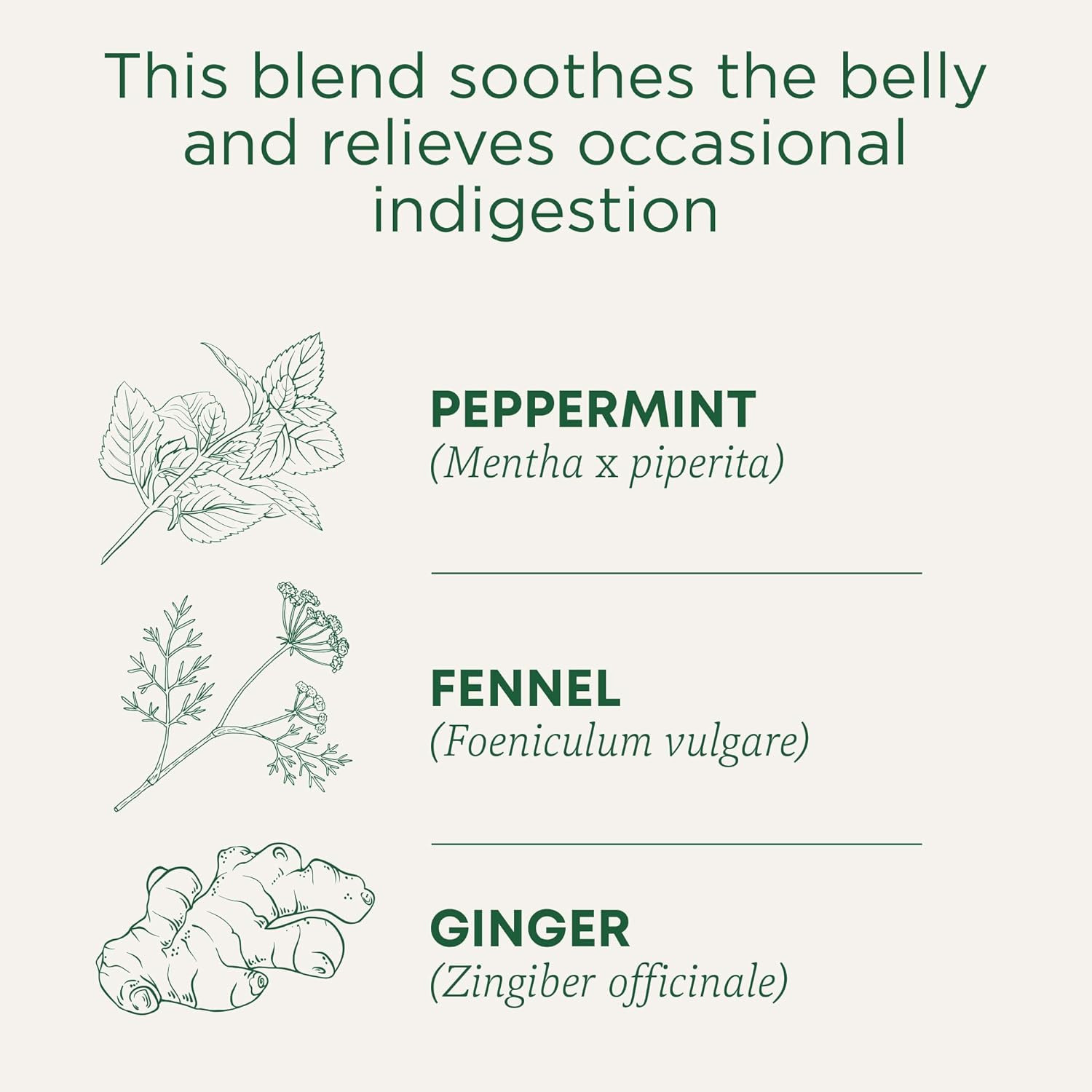 Organic Belly Comfort Peppermint Tea, Kosher, Non-Gmo, Caffeine-Free, Compostabl