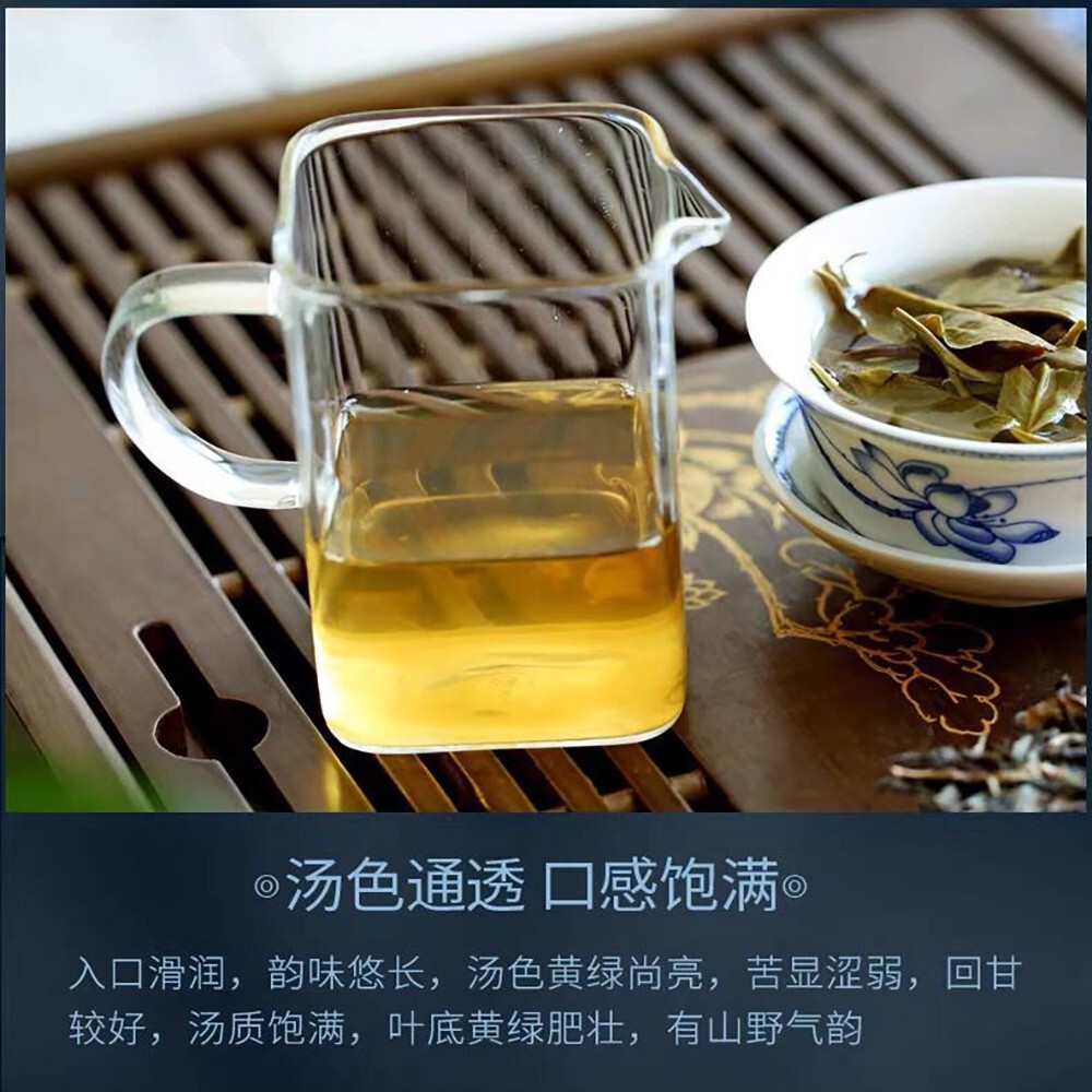 Pu-Erh tea,2020,SHENG JIA YUAN,南糯山 Nannuo Mountain,357g,Raw
