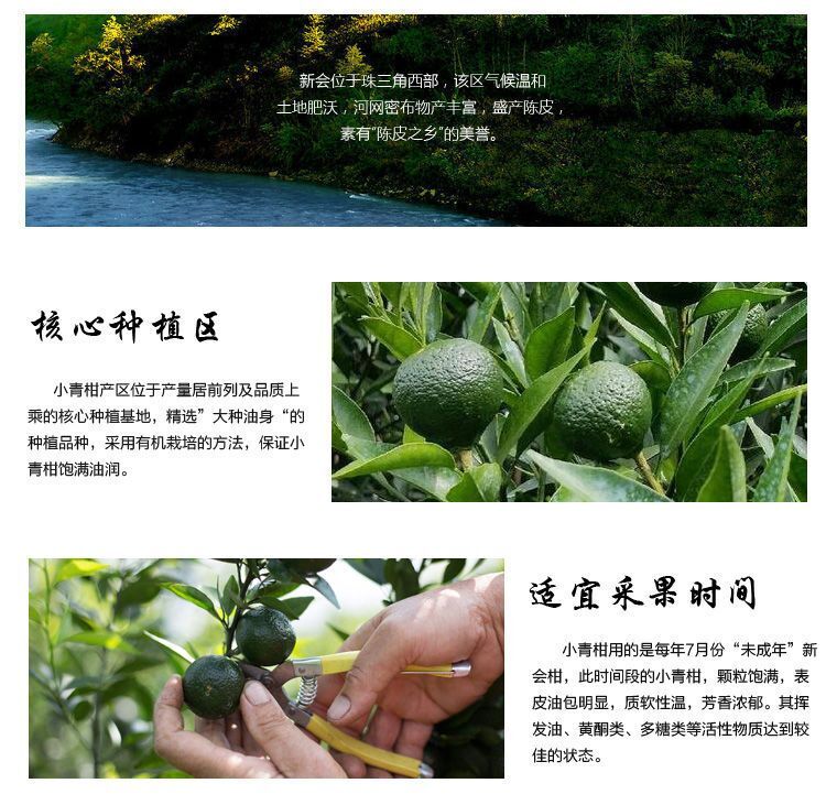 250G (8.8 Oz) Palace Orange Peel ChenPi Citrus Puer Pu’er Puerh Ripe Loose Tea