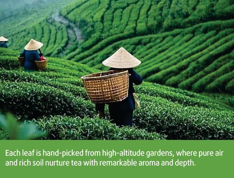 30 Nature Oolong Tea Bags – 100% Pure Whole Leaf Mix Nature Honey- Cortisol &…